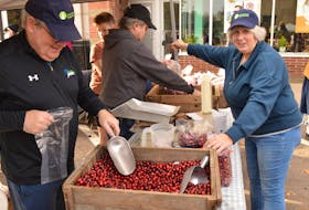 Patrick Ryan, left scoops cranberries alongside Seamus and Kevin Ryan and Karen Linfield at the Lighthouse Cranberries booth at Farm Day in the City Oct. 23.  Alison Jenkins • The Guardian