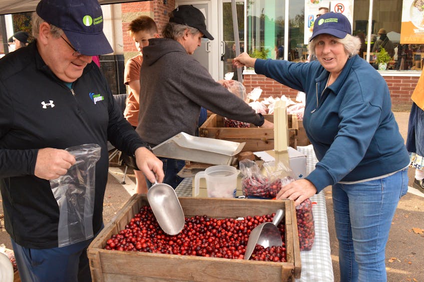Patrick Ryan, left scoops cranberries alongside Seamus and Kevin Ryan and Karen Linfield at the Lighthouse Cranberries booth at Farm Day in the City Oct. 23.  Alison Jenkins • The Guardian