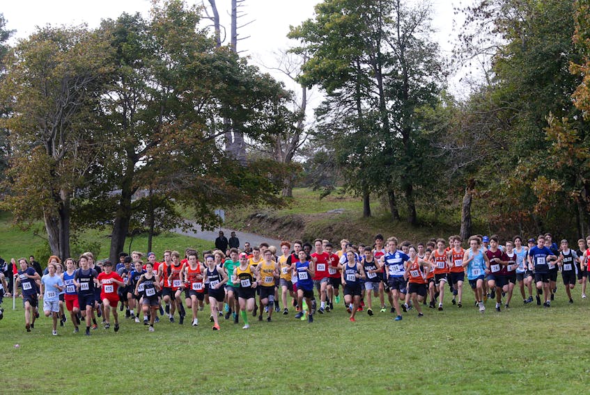 Runners are seen at the start of the intermediate boys run at the provincial high school cross counrty championships at Point Pleasant Park in Halifax Monday October 24, 2022.

TIM KROCHAK PHOTO