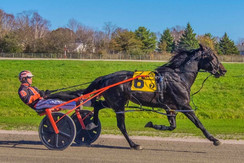 Rotten Ronnie and Redmond Doucet captured the Saturday afternoon feature in 1:56.1 at Northside Downs in North Sydney. CONTRIBUTED/TANYA ROMEO