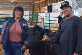 Stanley’s Crystal Manning, of Our Place Livestock, and Ben Bacon, from Brookdale, showcase their Grand Champion Angus male. Keep ‘Em Coming was bred and raised by Bordertown Angus and was one of the many cattle on display at the annual Hants County Exhibition’s and Classic Heritage Beef Show.