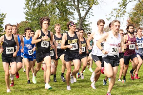 Is the best yet to come? Memorial University cross country team looking for positive results at AUS championships