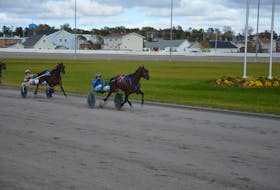 Driver Corey MacPherson steers Therealprincess towards the wire ahead of the Gilles Barrieau-driven Orrsterror in a $20,600 Lady Slipper Gold Division race at Red Shores at Summerside Raceway on Oct. 2. Time of the mile was 1:58.1. Jason Simmonds • The Guardian