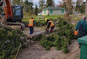 Crews remove fallen trees at Broad Cove campground. Many national parks are set to reopen after post-tropical storm Fiona caused extensive damage. Contributed/Parks Canada