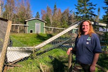 Linda Hayes, the special events co-ordinator for Two Rivers Wildlife Park, stands in front of the otter enclosure at the park. It suffered heavy damage during post-tropical storm Fiona. Volunteer and staff efforts have whipped much of the park back into shape. GREG MCNEIL/CAPE BRETON POST