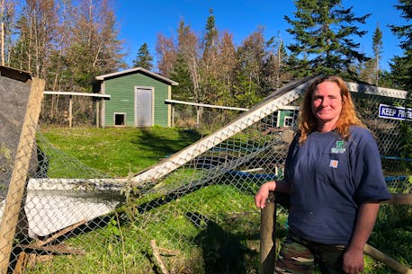 Storm battered Two Rivers Wildlife Park in Cape Breton closer to reopening