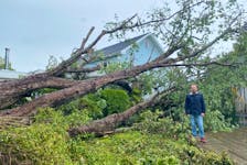 Todd Fraser stands by a tree that fell in his backyard on Forbes Street in New Glasgow. The Town of New Glasgow has begun collecting trees placed on curbsides starting Oct. 3.  File