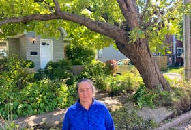 Natalia Diaz-Insense says she was told  by the city on Sunday that the catalpa tree resting on her house would be removed early this week. She's shown in front of her Almon Street house Tuesday.