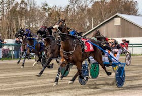 Mando Fun (No. 1) and driver Ryan Campbell withstood a host of challengers in the stretch drive to capture the Saturday afternoon feature at Northside Downs in 1:58.1 in North Sydney. CONTRIBUTED/TANYA ROMEO