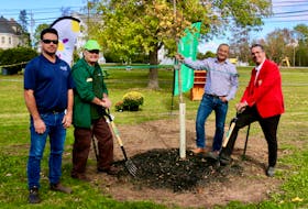 A total of 17 trees — elm, maple, linden and oak — will be planted this fall as part of a Victoria Park tree canopy project. Pictured celebrating are, from left, Kevin Bennett, West Hants’ manager of parks and recreation facilities, Bruce Carter, Tree Canada’s community advisor for Nova Scotia, Mayor Abraham Zebian, and Windsor Home Hardware owner Jeff Redden.