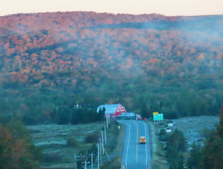 The first frost of the fall season was early for many, including in Cape Breton where Judith Brennan captured this frosty morning near Baddeck, N.S. -Contributed