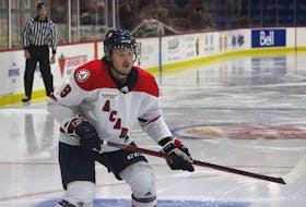 Falmouth's Bailey Peach is a rookie with the Acadia Axemen hockey team.