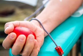 Canadian Blood Services encourages all eligible donors in Halifax to book and honour their appointments to donate blood, platelets and plasma before and during Thanksgiving weekend. Stock photo