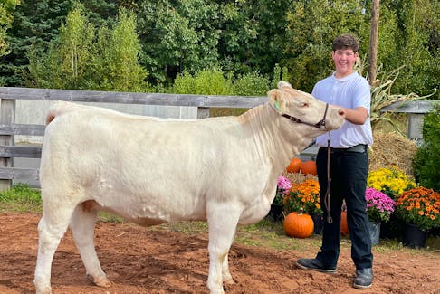 Cole Campbell of Mabou will join the provincial 4-H beef team at the Royal Exhibition in Toronto next month. He’s the only Cape Breton representative. CONTRIBUTED