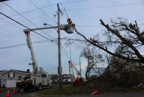 Contractors working with Nova Scotia Power work on power line issues near a fallen tree in New Waterford.