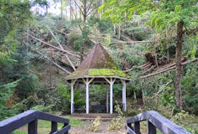 The stairs behind Holy Well Gazebo are covered in fallen trees and there is a break on top of the ridge.