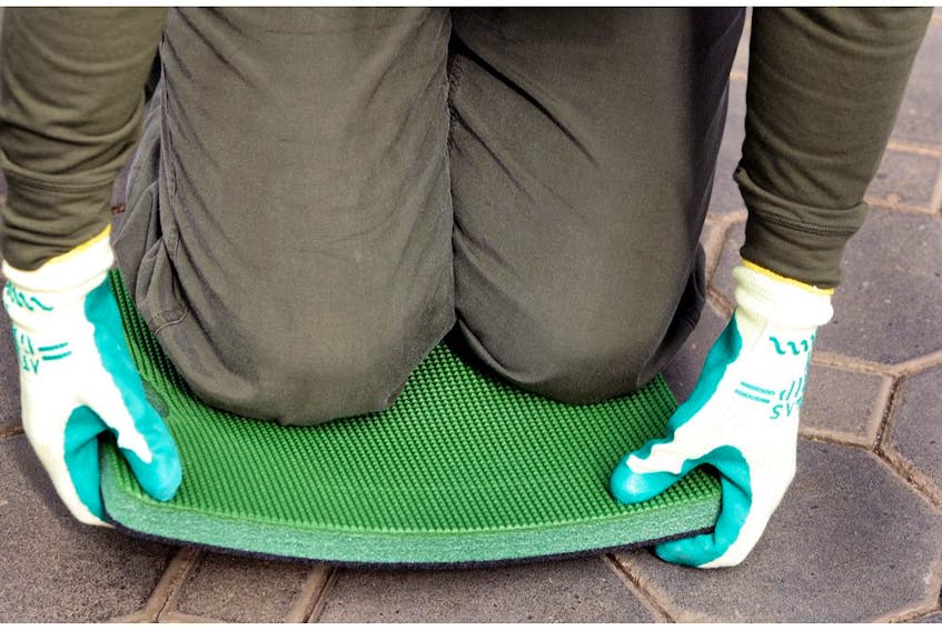 A kneeling pad is a life saver on the knees while gardening.