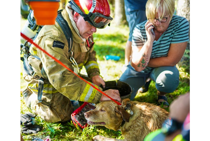 Onslow Belmont firefighter and first responder Derek Richard comforts Apollo, an elderly canine he resuscitated after Apollo was rescued from a fully involved house fire in Colchester County. PHOTO CREDIT: Truro & Colchester Code 1 Coverage