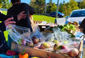 Food First NL's new project called 'Food On the Move' will bring affordable, fresh produce to local community centres within St. John's. Contributed photo.