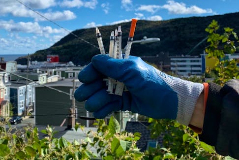 Needles collected in roughly one minute at the Tessier Street Park in downtown St. John's. The backdrop is St. John's harbour with a cruise ship stack towering above rooftops. BARB SWEET/THE TELEGRAM