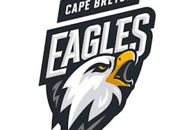 Cape Breton Eagles centre Julien Hébert, left, fends off Acadie-Bathurst Titan right winger Blake Pilgrim-Edwards during Saturday night's game in Bathurst, N.B. The Eagles lost 6-3. CONTRIBUTED/BRYANNAH JAMES