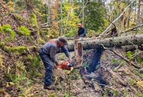 Lots of chainsaws and volunteers are needed to cut through the trees down on wilderness trails after post-tropical storm Fiona.