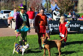 The three winners of the doggy costume contest held at the Truro civic square on Saturday,