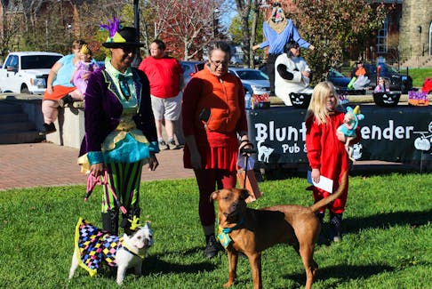 The three winners of the doggy costume contest held at the Truro civic square on Saturday,