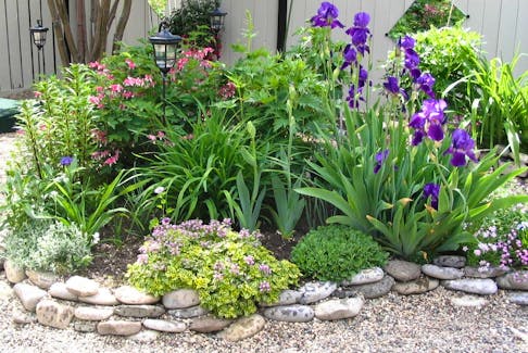 This is a prime example of xeriscaping or "dry" landscaping with plants that require minimal amounts of water. With little grass, it also requires minimal amounts of effort to maintain. 