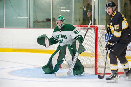 UPEI Panthers continue strong play in AUS men's hockey