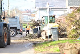 City of Charlottetown  workers clear the debris from a fallen tree on Orlebar Street on Nov. 9. P.E.I. residents and organizations were cleaning up as much of the debris left from Fiona before post-tropical storm Nicole was set to hit over the weekend. Rafe Wright • The Guardian