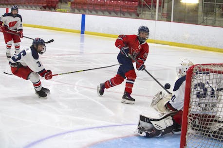 Valley Wildcats split Nova Scotia under-15, under-18 hockey games