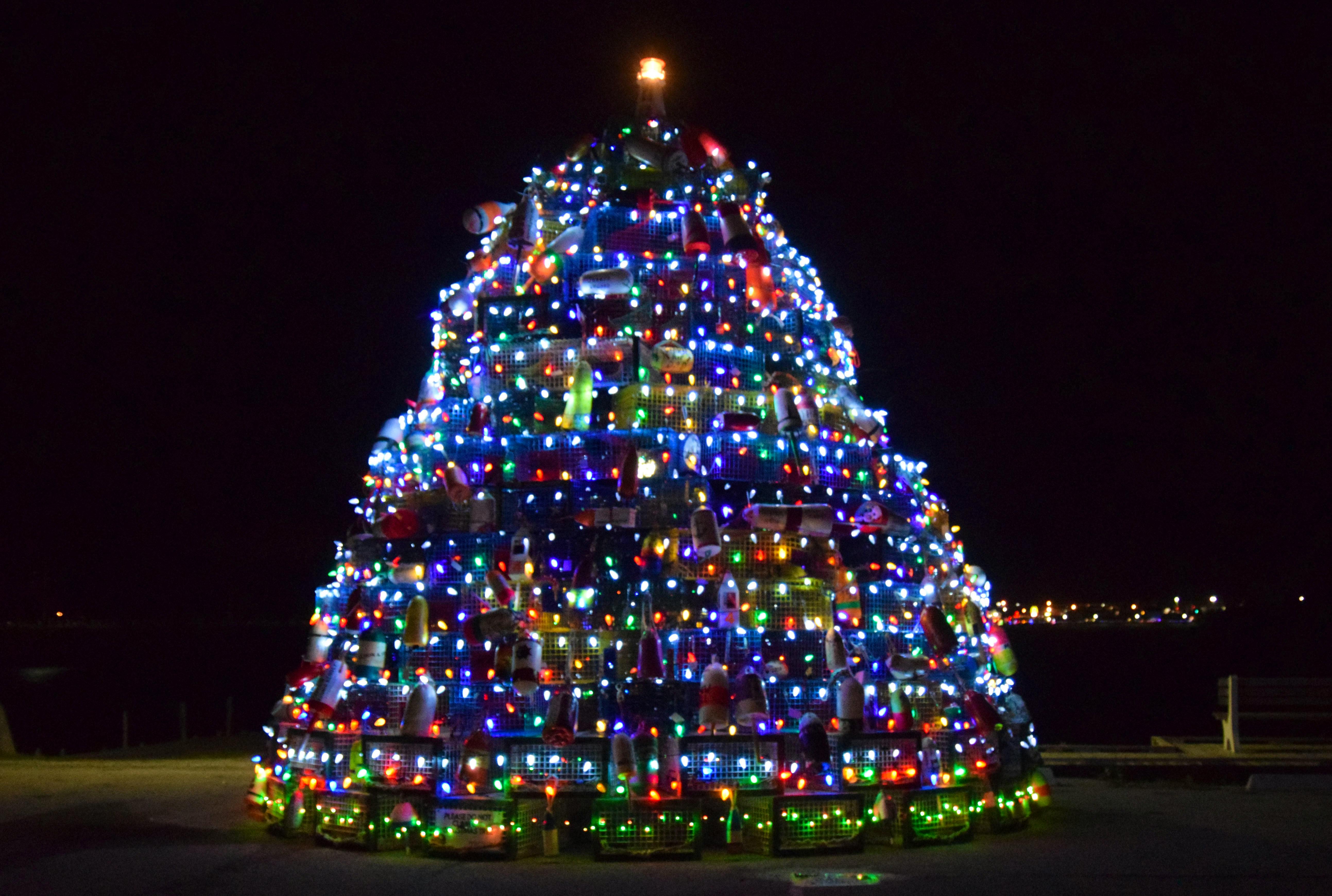 Lobster trap and buoy Christmas trees tradition grows in Southwest Nova  Scotia