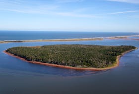 Kwesawe’k, or Oulton’s Island in Cascumpec bay is a 211-acre uninhabited island about 400 metres off shore from Northport. The island will soon be purchased by the Nature Conservancy of Canada to be conserved as a natural site. Contributed/NCC