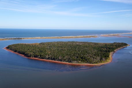 Nature Conservancy of Canada to purchase Oulton's Island off western P.E.I.