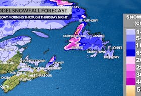 The highest snowfall amounts over the next few days will be over western Newfoundland and western Cape Breton.