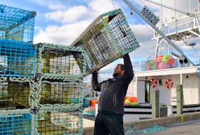 A fisherman adds a lobster trap to the top of the pile at the Falls Point wharf in Woods Harbour.  The LFA 33, 34 commercial lobster fishery is scheduled to open Nov. 28. KATHY JOHNSON