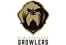 Newfoundland Growlers takes second straight loss following Nov. 22 against Adirondack Thunder. File