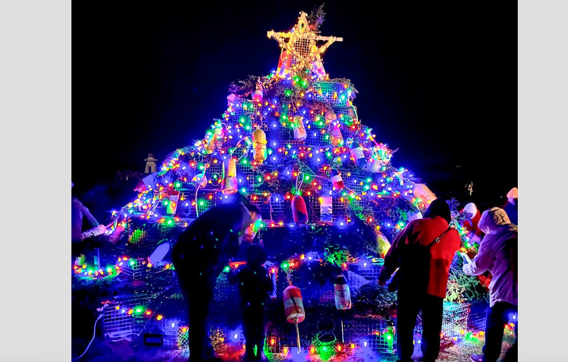Clare celebrates first-ever lighting of lobster trap tree ahead of season  opener