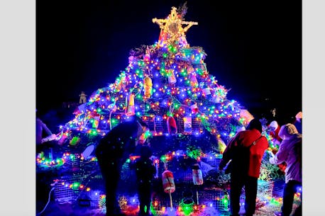 Clare celebrates first-ever lighting of lobster trap tree ahead of season opener