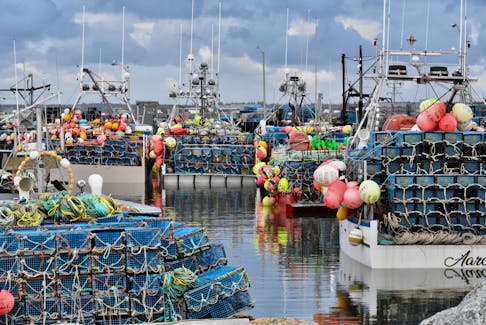 Lobster boats loaded with gear at Meteghan at the start of the 2021 lobster fishery last December. Lobster Fishing Area (LFA) 34 is the biggest lobster fishing area in Nova Scotia, with 979 licence holders. TINA COMEAU/FILE PHOTO