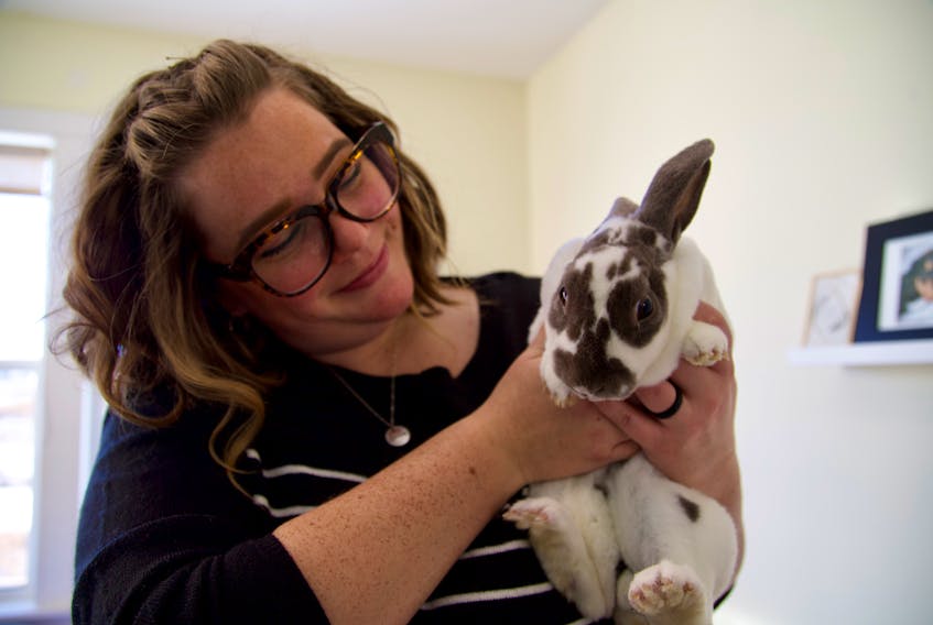 Ashley Travis, development and communications co-ordinator for the P.E.I. Humane Society, says while cats and dogs make up the bulk of surrendered animals, there has been a significant increase in the number of rabbits surrendered due to housing issues in 2022. Cody McEachern • The Guardian