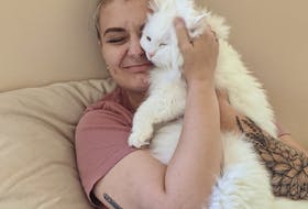 Justine Lorch, who is actively looking for housing in P.E.I., says finding a pet-friendly place to live is essential, as getting rid of her cats Fury (pictured) and Tika is not an option. Contributed