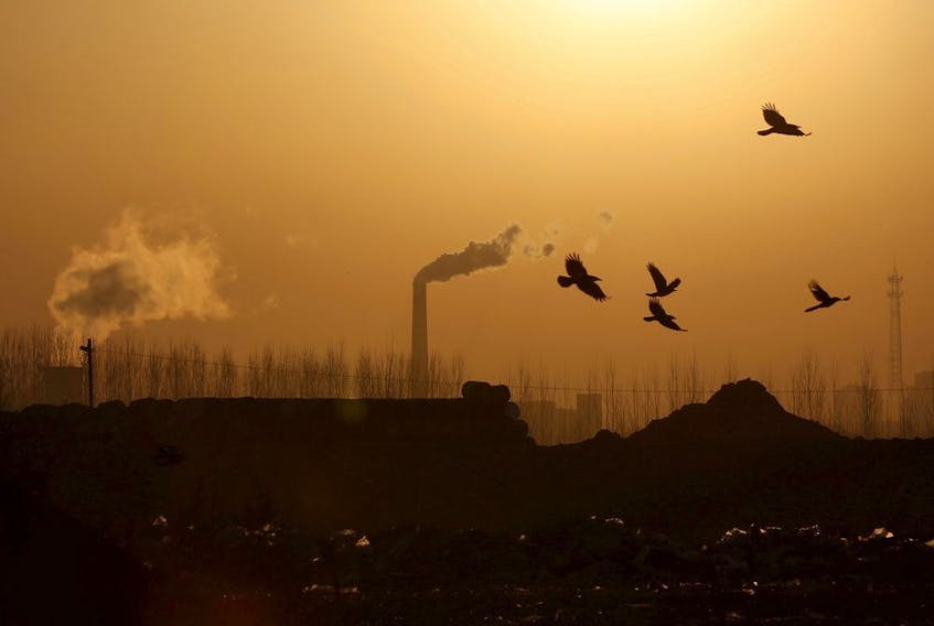  Birds fly over a closed steel factory where chimneys of another working factory are seen in the background, in Tangshan, Hebei province, China.