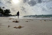  An early morning beach stroll from The Sands Barbados. Rita DeMontis/Toronto Sun
