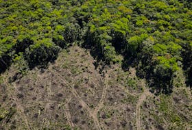 FILE PHOTO: An aerial view shows a deforested plot of the Amazon rainforest in Manaus, Amazonas State, Brazil July 8, 2022. REUTERS/Bruno Kelly/File Photo  An aerial view shows a deforested plot of the Amazon rainforest in Manaus, Amazonas State, Brazil on July 8, 2022. Deforestation levels are now at a record high, just as Jair Bolsonaro has been narrowly ousted from the Brazilian presidency by Lula da Silva, whose former administration had managed to slow deforestation levels. REUTERS file photo/Bruno Kelly