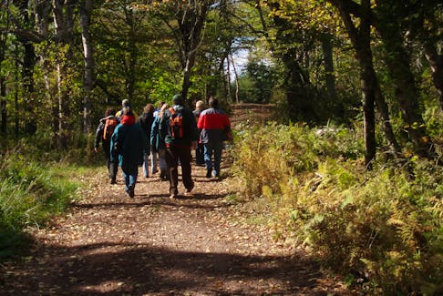 Don Cameron said that fall can arguably be one of the best seasons to hike outdoors in Nova Scotia.