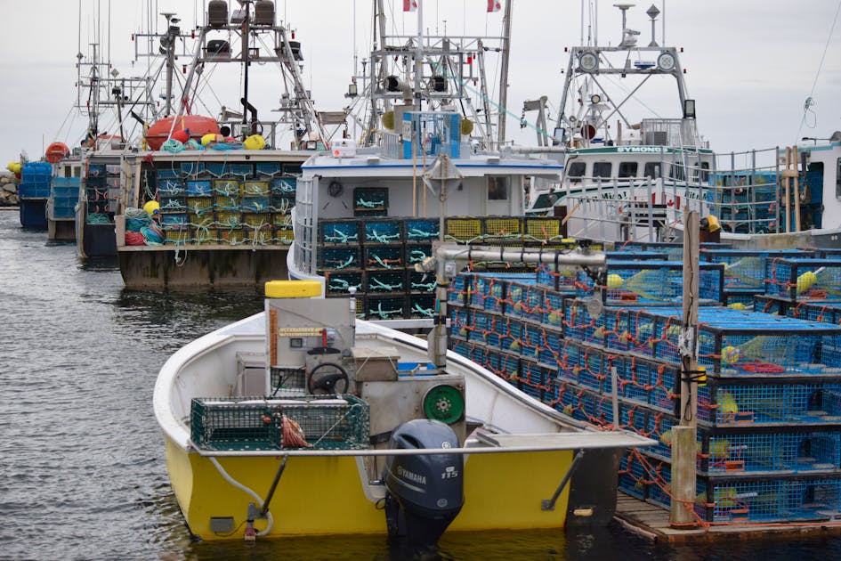 One of last SC commercial fishing hubs could close. Land trust
