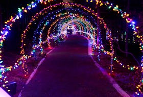 The annual Merry & Bright Holiday Light Festival is heading back to the Memorial University Botanical Garden from Dec. 1-22, the Dec. 27-29. File