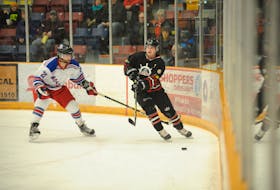 The Port aux Basques Mariners announced Wednesday they would be joining the Corner Brook Royals and the Deer Lake Red Wings in a three-team senior hockey league that will operate on the west coast of the province. Saltwire Network file photo